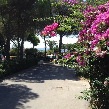Deliziosa Villa 150 Metri Dal Mare กวาร์ตู ซานเตเลนา ภายนอก รูปภาพ